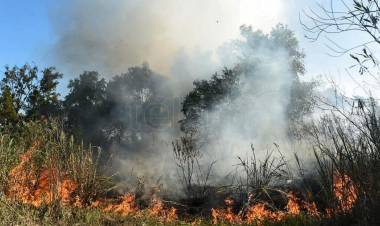 Combaten nuevos incendios sobre islas del delta del río Paraná