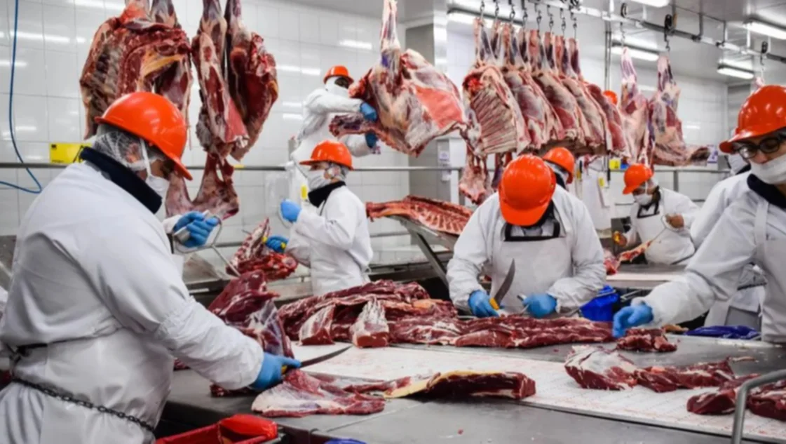 Ratifican la tendencia a la baja del precio de la carne de exportación