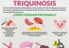 Cómo podemos prevenir la Triquinosis?