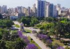 Coronavirus: los casos activos no detienen su caída en Bahía