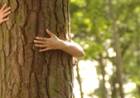27 DE SETIEMBRE: DIA NACIONAL DE LA CONCIENCIA AMBIENTAL