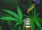 Cannabis medicinal: la Corte ordenó que una obra social lo provea a un niño que padece epilepsia refractaria