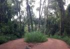 Misiones firmó un acuerdo para seguir cuidando la selva