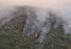 Se redujeron un 70 % las áreas afectadas por incendios forestales