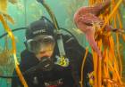 Escalada, buceo y trekking extremo: las actividades poco conocidas para hacer en Ushuaia