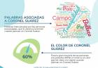 Resultados de la encuesta: “Turistas potenciales a Coronel Suárez”