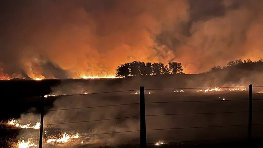 Corrientes: las pérdidas por los incendios y la sequía superan los $ 26.000 millones