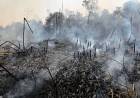 El Gobierno declaró el estado de emergencia y de desastre agropecuario en Corrientes