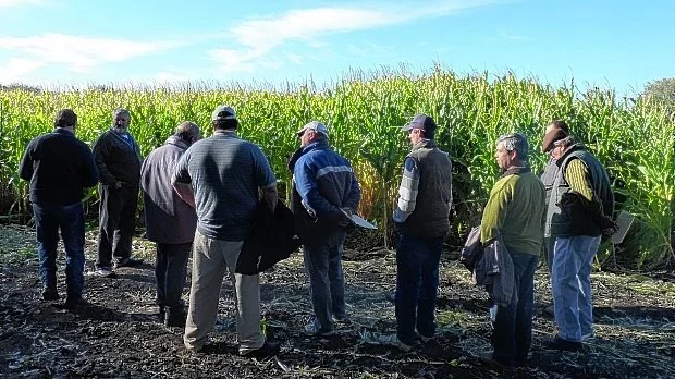 Jornada a campo abierto para productores de Guaminí, Adolfo Alsina y Coronel Suárez