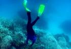 Una ola de calor en Australia dañó el 91% la Gran Barrera de Coral