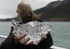 En América Latina y el Caribe se perdió el 30% la superficie glaciar en menos de 50 años