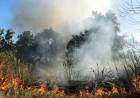 Ambientalistas preparan una movilización masiva por las quemas en el delta del Río Paraná