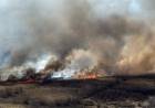 Incendios en el Delta del Paraná: hay focos en Rosario-Victoria, San Pedro y Zárate