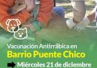 Campaña de vacunación antirrábica en Barrio Puente Chico