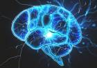 Cuidar la salud del cerebro: qué hábitos que debemos tener en cuenta