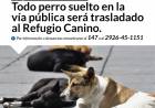 INFORMACIÓN IMPORTANTE PARA PROPIETARIOS DE PERROS