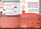 Prevención de la Triquinosis