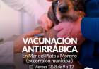 Campaña de vacunación antirrábica