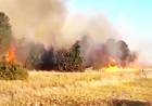 Controlan enorme incendio cerca del Dique Paso de las Piedras