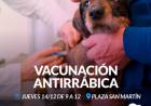 Campaña de vacunación antirrábica en Coronel Suárez