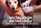 Campaña de vacunación antirrábica en el centro de la ciudad