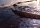 Denuncian un nuevo derrame de hidrocarburos en la ría