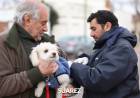 Vacunación antirrábica en la plaza Tambor de Tacuarí