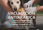 Campaña de vacunación antirrábica en la Plaza Conturbi