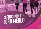 Arrancá el año con energía y de manera saludable con las “Correcaminatas Toro Merlo” 
