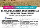 EL ROL DE LA RECRÍA EN LOS SISTEMAS DEL SUDOESTE BONAERENSE