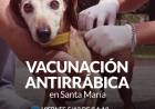 Campaña de Vacunación Antirrábica en Pueblo Santa María 