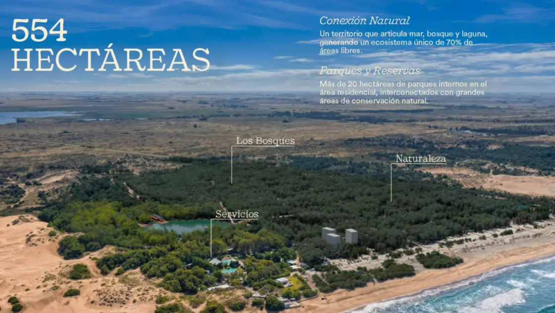 El Americano: inversión estratégica y nuevo motor de desarrollo para Monte