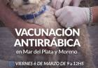 Campaña de Vacunación Antirrábica en la ciudad