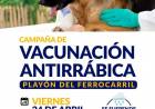 Campaña de Vacunación Antirrábica en el Playón del Ferrocarril