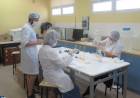 Jornada para fortalecer los vínculos entre el sector científico, el productivo y el gubernamental