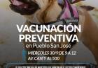 Vacunación preventiva de mascotas en Pueblo San José