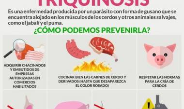 Cómo podemos prevenir la Triquinosis?