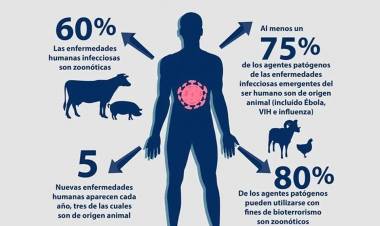 6 de Julio, Día Mundial de las Zoonosis