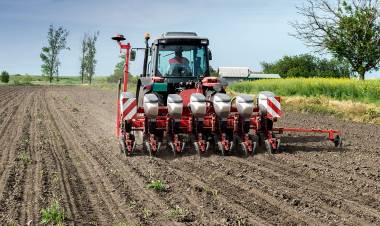 Trigo: una campaña que puede ser récord, pero donde el clima jugará un papel determinante