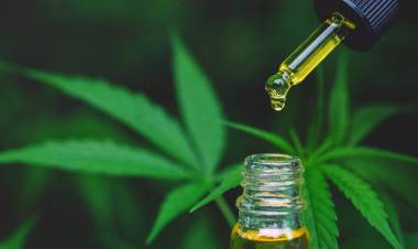 Cannabis medicinal: la Corte ordenó que una obra social lo provea a un niño que padece epilepsia refractaria