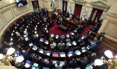 El Senado convirtió en ley el proyecto sobre Alivio Fiscal