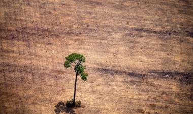 Para Guterres, la cumbre del clima debe actuar para "salvar a la humanidad" y proteger el planeta
