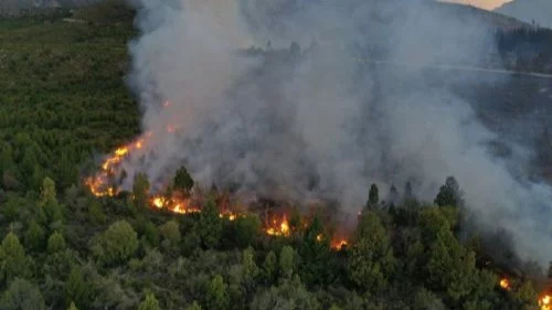 El Gobierno declara el estado de emergencia agropecuaria en Misiones, Córdoba y Mendoza