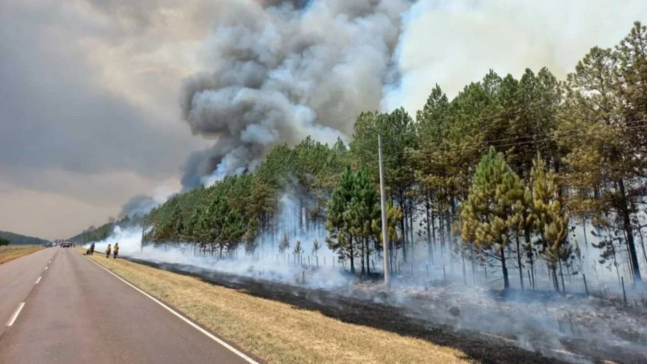 Las lluvias comienzan a dar esperanza en la lucha contra los incendios en Corrientes