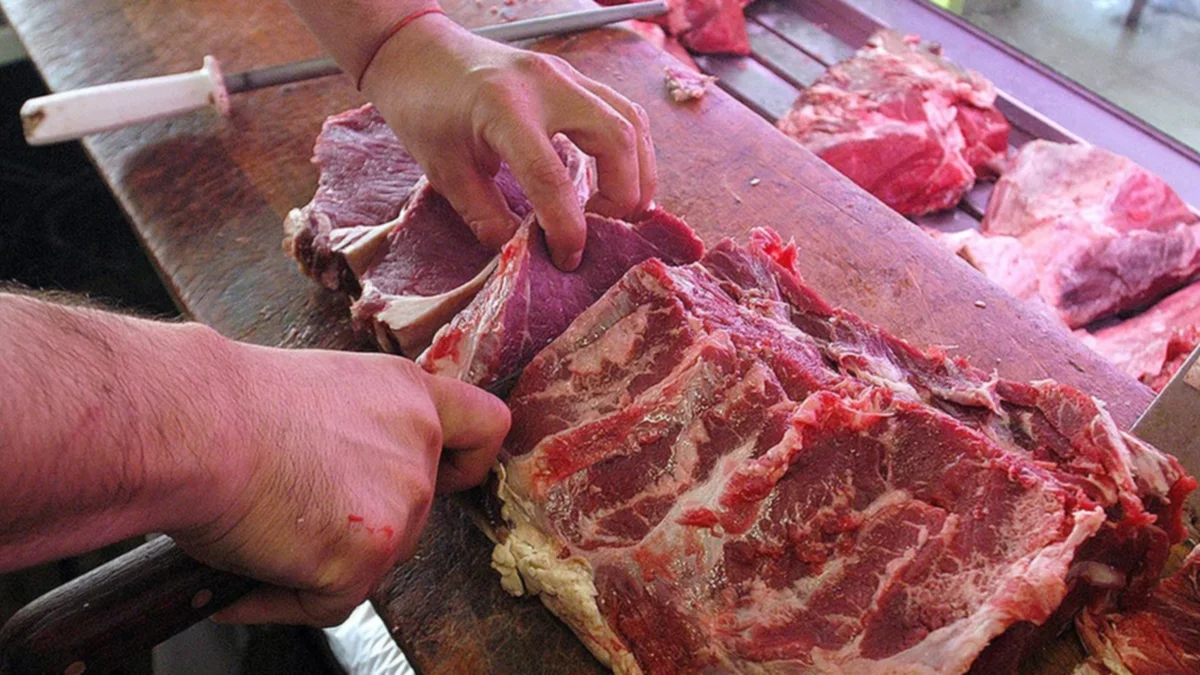 Carne: el Gobierno actualizó los precios de siete cortes populares