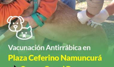 Campaña de vacunación antirrábica en la Plaza Ceferino Namuncurá