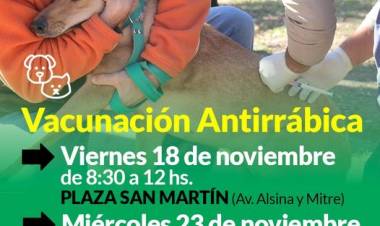 Campaña de vacunación antirrábica en Plaza San Martín y Plaza Dr. Eduardo Frandzman
