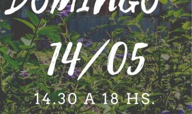 Feria Suárez Produce: este domingo nos volvemos a encontrar en el Galpón