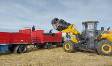 Importante entrega de neumáticos fuera de uso de la firma R33 a la empresa Regomax