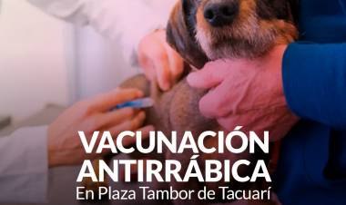 Campaña de vacunación antirrábica en la Plaza Tambor de Tacuarí